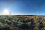 a panoramic view of a vast field of solar panels glistening under the sun, with towering wind turbines in the background.