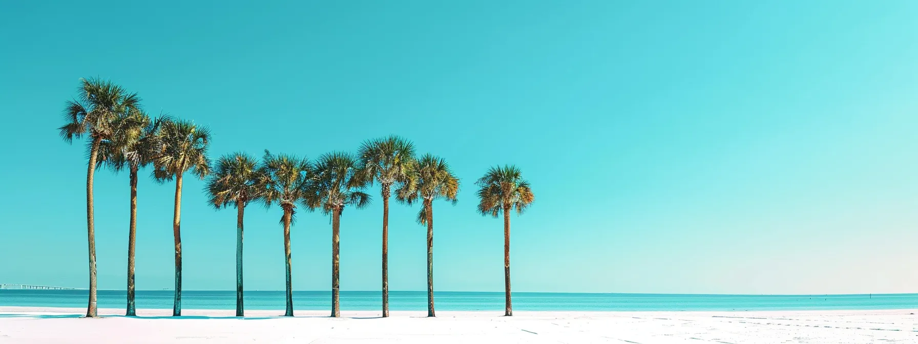 swaying palm trees lining a white sandy beach under a clear blue sky, perfect for a warm december escape.