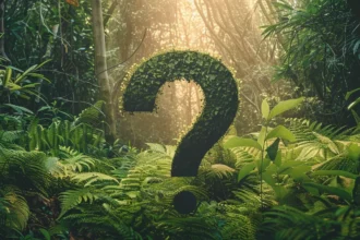 a lush, vibrant green forest with a giant question mark hovering over the trees.