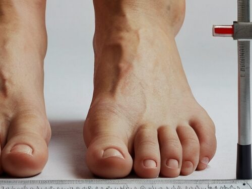 10 Inches Compared To Human