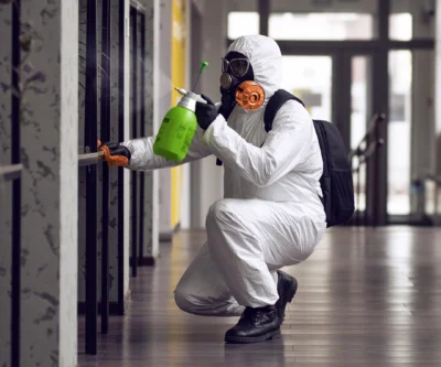 Professional Mold Removal