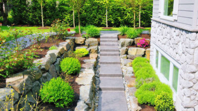 Smart Landscaping Choices