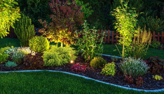 Smart Strategies for Low-Maintenance Apartment Landscapes